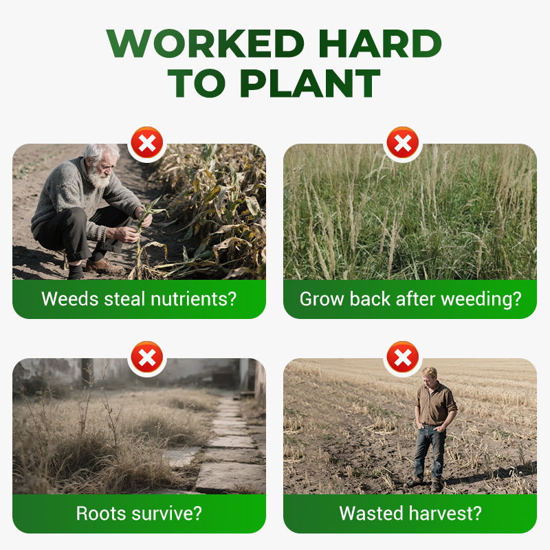 🔥Powerful Concentrated Herbicide🔥