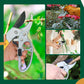 🔥Hot sale!🔥Gardening Labor-Saving Pruning Shears