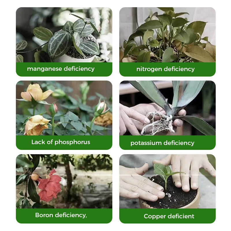 🌱 50% OFF - Rapid Bloom Booster Powder | Fast Root Growth + Bigger Flowers!🌸