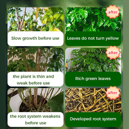 🌱 50% OFF - Rapid Bloom Booster Powder | Fast Root Growth + Bigger Flowers!🌸