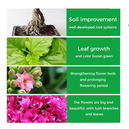 🌱 50% OFF - Rapid Bloom Booster Powder | Fast Root Growth + Bigger Flowers!🌸