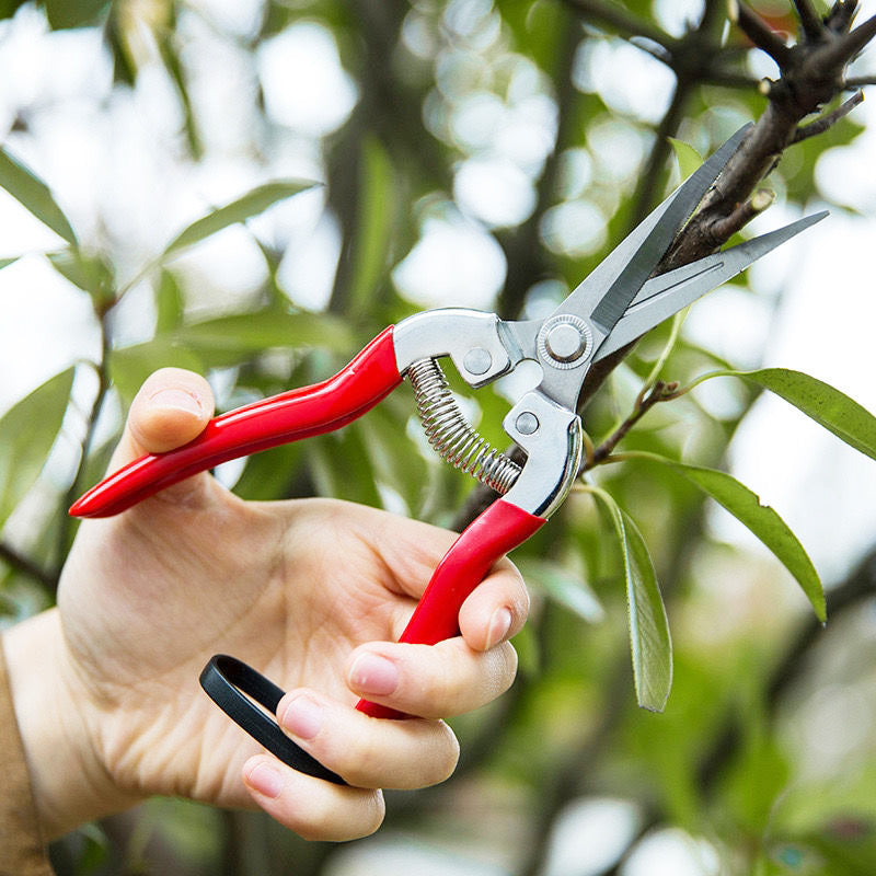 Multifuntional Stainless Steel Garden Pruning Scissors