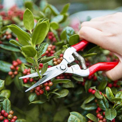 Multifuntional Stainless Steel Garden Pruning Scissors
