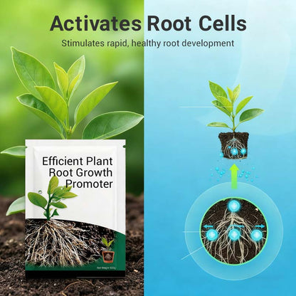 Root Growth Promoting Powder