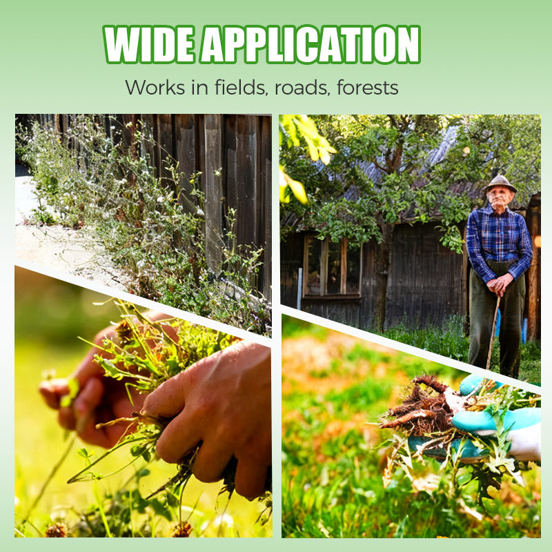 2-in-1 Max Power Herbicide