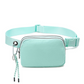 Minimalist Waterproof Double-Zipper Waist Bag