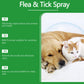 🍃Natural Flea & Tick Spray for Dogs and Cats🐾 Keep Your Beloved Pet Free from Pests