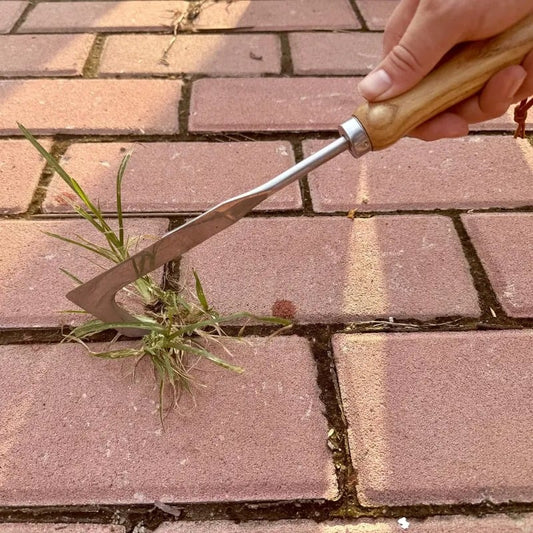 🌿 60% RABATT NU! Crack Weeder Tool – vass krokspets, rostfritt stål & bekvämt bokträhandtag – perfekt för ogräsrensning i trottoarer, trädäck och springor 🏡✨