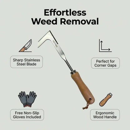 🌿 60% RABATT NU! Crack Weeder Tool – vass krokspets, rostfritt stål & bekvämt bokträhandtag – perfekt för ogräsrensning i trottoarer, trädäck och springor 🏡✨