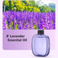 🎁Presentidé – Storsäljare med 59 % rabatt🌸Automatisk aromaterapidiffusor
