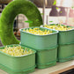🌱 50% RABATT NU! Stapelbar odlingslåda för böngroddar – flera lager, vatteninsamlade trådar & mögelfri tillväxt – perfekt för färska skott året runt ✨